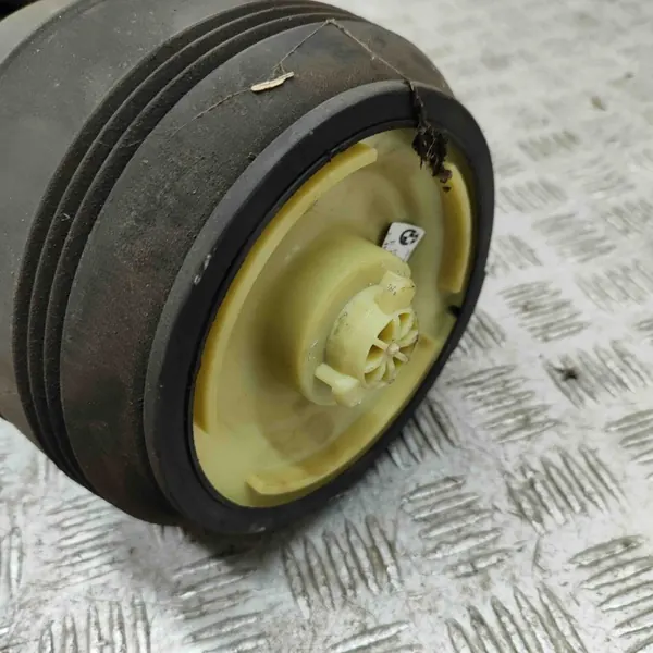 Luchtvering BMW X5 E70 OEM F309512902A image 5