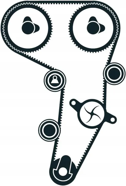 SKF VKMC 01255-1 Bomba de Agua + Kit de Correa de Distribución image 4