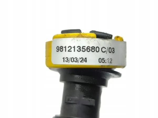 Ilmausletorukka OEM 9812135680 Citroën C4 II 1.2L image 7