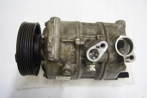 Compressore aria condizionata Sanden 7N0816803D image 2