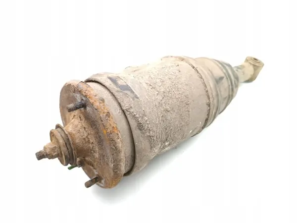 Land Rover Luftfederung Dämpfer AH22-18W002-AA hinten image 4