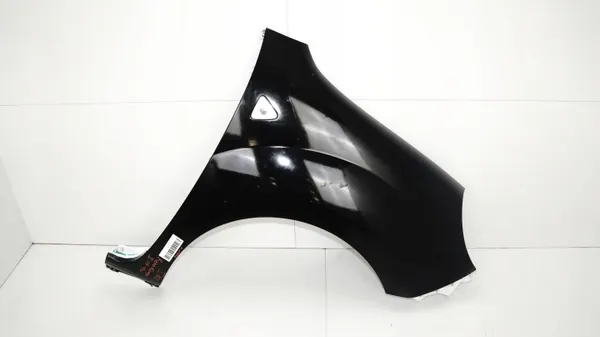 OEM 360179618 Etu oikea lokasuoja Renault Kangoo II:lle image 2