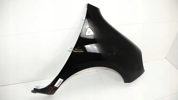 OEM 360179618 Etu oikea lokasuoja Renault Kangoo II:lle image 3
