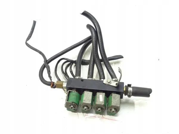 LPG Injector OEM LORK-212-1000000000 RAIL-001 image 2