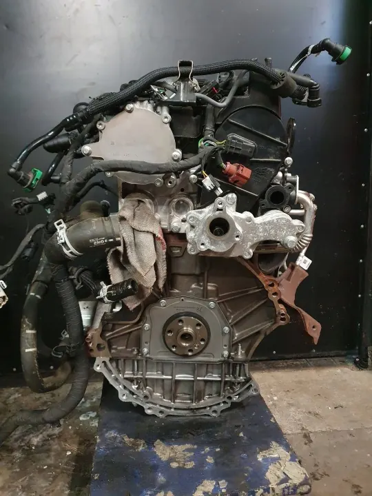 Ford B3DA-motor för Focus MK4 1.0 EcoBoost 100hk image 10