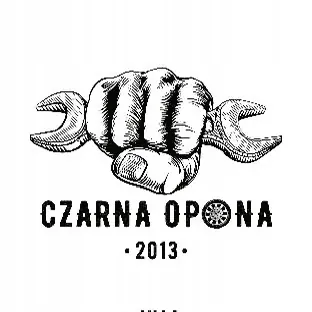 Combinatieschakelaar T250 Chevrolet Aveo II (2007-2011) OEM image 3