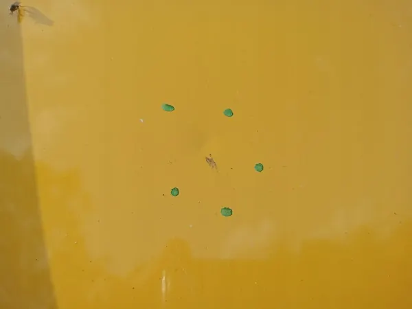 Sprinter Crafter 06- Acabamento de Porta Alto D+E image 2