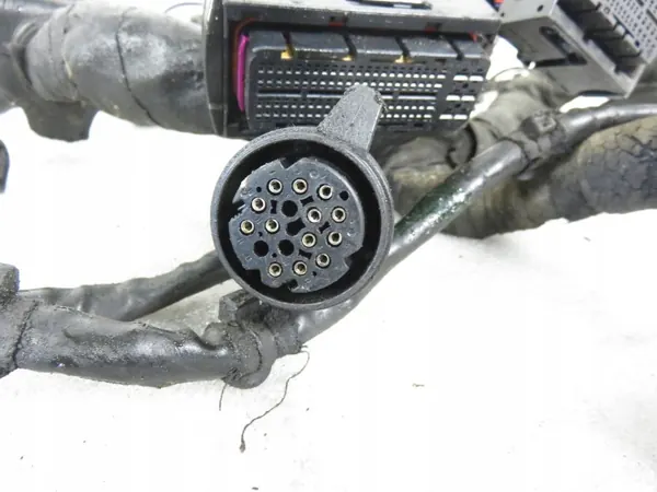 Harness de Motor OEM 4E1971713AN para Audi A8 D3 image 3