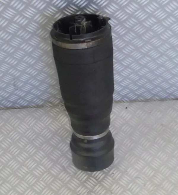 Muelle neumático DPLA-5580-AD para Range Rover Sport L494 image 2