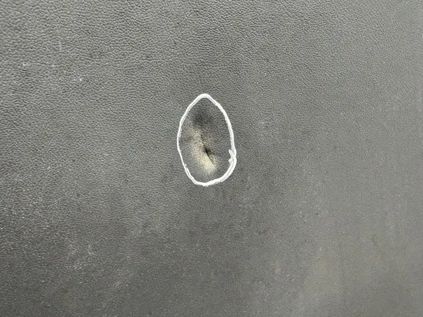 Tesla AMD211012 Motorhuvisolering - Begagnad OEM-del image 8
