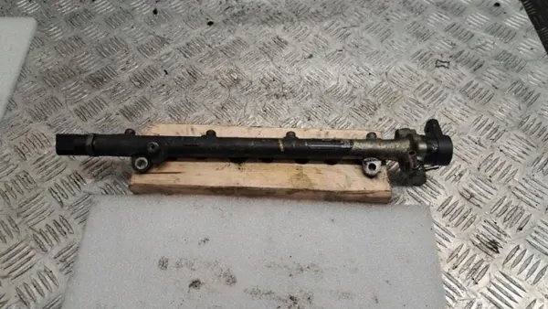 Mercedes-Benz ruiskutuskaide OEM 0445214064 A6110700495 image 2