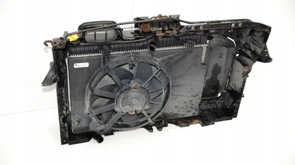 OEM 368446558 Voorste Riem voor Ford Fiesta MK7 1.6 TDCI image 9