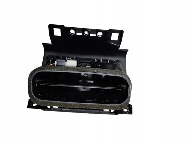 Achter luchtroostergril OEM 920088812 voor BMW X3 F25 image 3