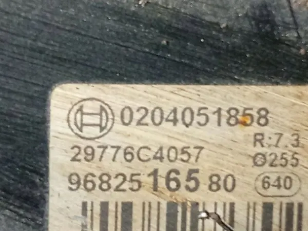 Jarruservo OEM 0204051858 Peugeot 307 2.0L:lle image 4