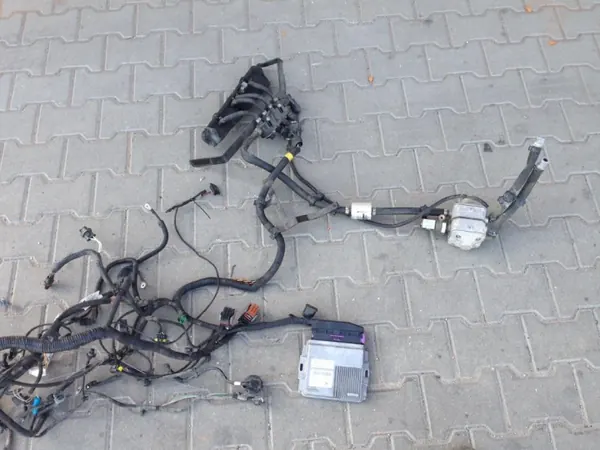 Landi Renzo LPG Kit OEM 123031297R - Gebraucht image 2