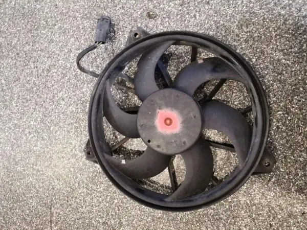 Courroie avant OEM 1494742080 pour Peugeot Expert image 2