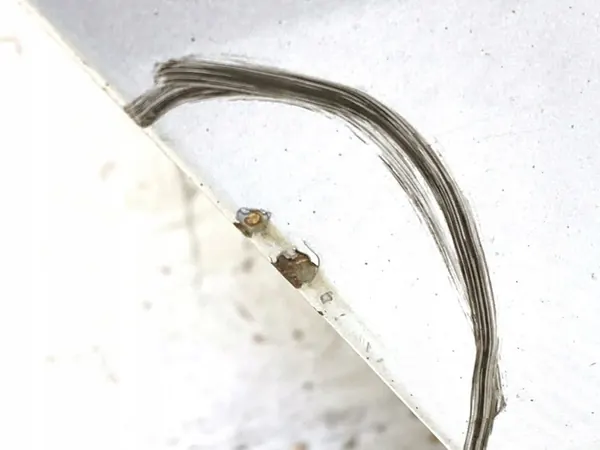 Höger Bakdörr VW PASSAT B7 Kombi 10-15 LA7W image 7