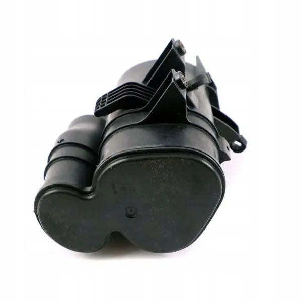 Filtre à charbon ventilation réservoir BMW 7387633 image 8
