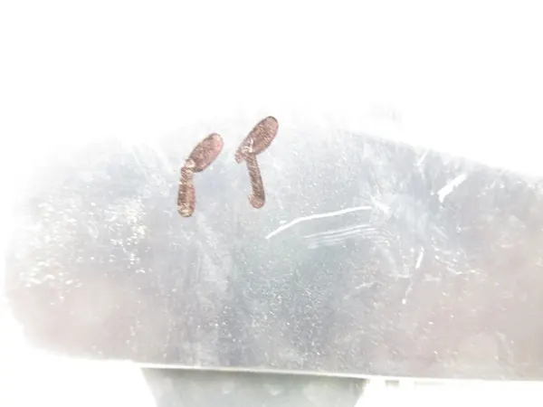 Etumma Oikea Ulko-ovikahva Fiat Croma 735402346 image 6