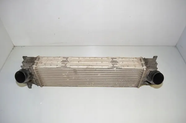 Radiatore Intercooler BMW 3 (G20, G28) 2.0L Diesel image 2