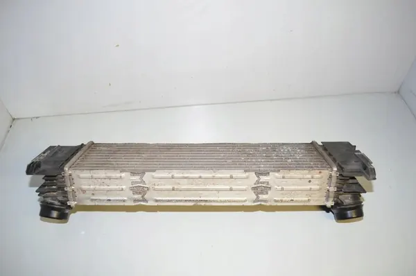 Radiatore Intercooler BMW 3 (G20, G28) 2.0L Diesel image 3