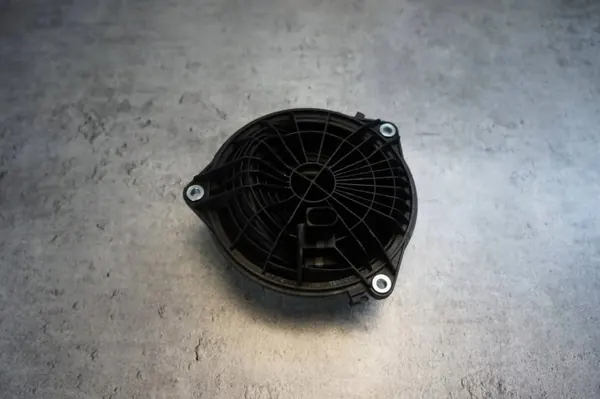 OEM 3AA827469B Bagageluckhandtags emblem VW image 5