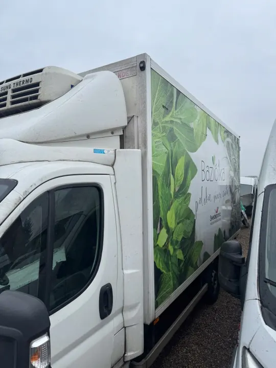 Conteneur Réfrigéré Thermo King Ducato Boxer Jumper image 3