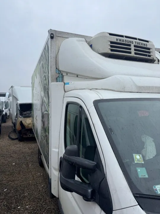 Conteneur Réfrigéré Thermo King Ducato Boxer Jumper image 4