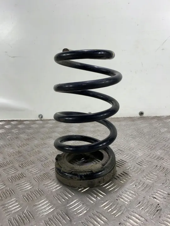 Ressort arrière OEM FBZ20506 pour Hyundai Santa Fe image 2