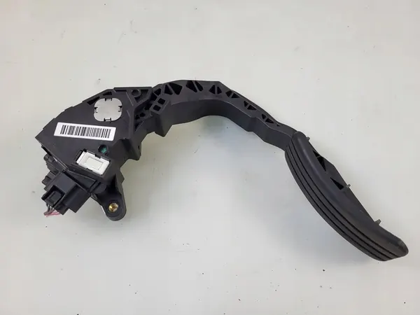 Gaspedaal Renault Scenic III image 4