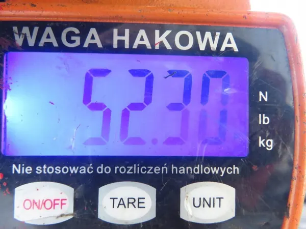 Hinterachsträger OEM BELKA TYŁ für Mercedes-Benz W168 image 7