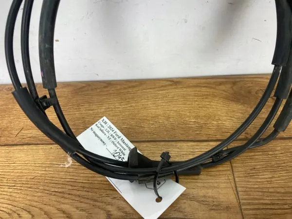 Fecho capô Ford Mustang VII OEM PR3B16B975AAPI image 4