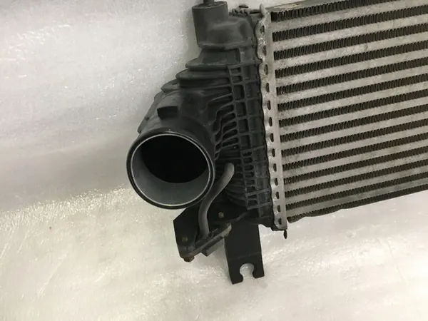 Radiatore Nissan OE 14461-5X00A image 2