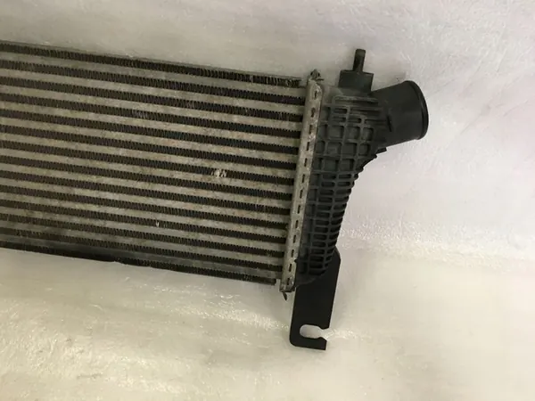 Radiatore Nissan OE 14461-5X00A image 3