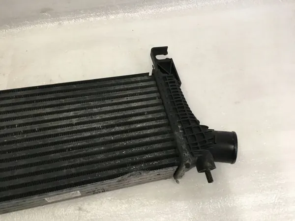 Radiatore Nissan OE 14461-5X00A image 5