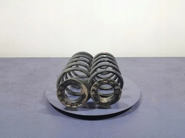 Toyota OE Hinterachsfedern OEM Lochow-323851- image 2