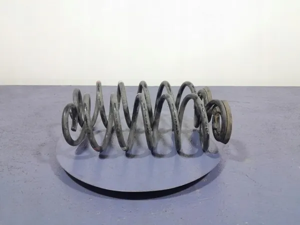 Toyota OE Hinterachsfedern OEM Lochow-323851- image 4