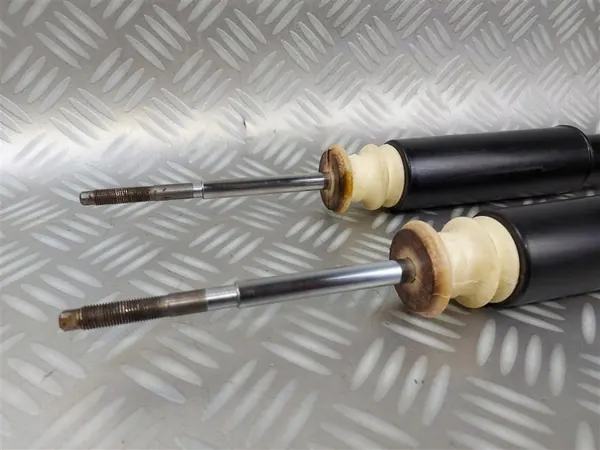 Ammortizzatori posteriori Smart Forfour 453 2014-2020 image 2