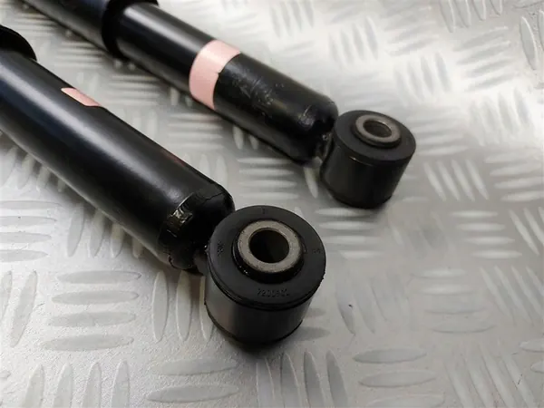 Ammortizzatori posteriori Smart Forfour 453 2014-2020 image 3