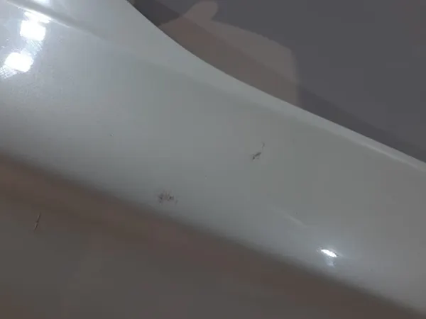 Parafango Destro BMW 5 F10/F11 - 41357248660 image 6