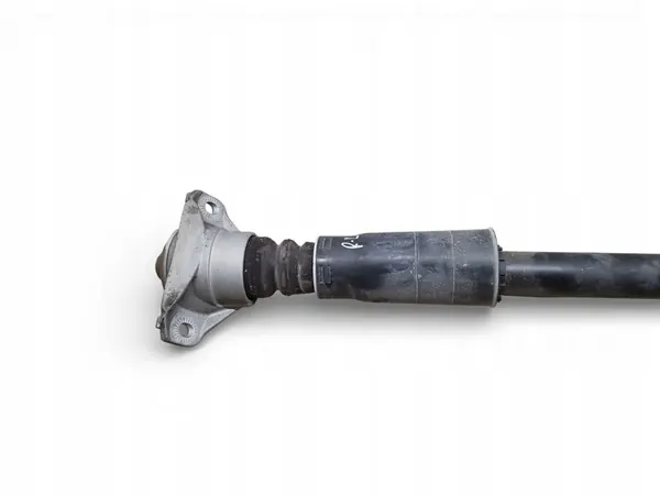 Ammortizzatore posteriore sinistro Audi A6 S6 C8 2019 OEM image 4