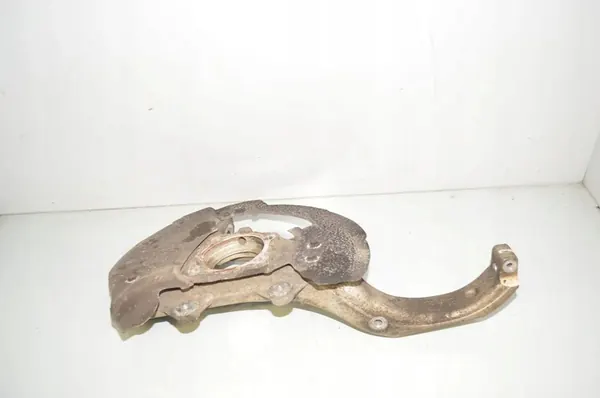 Snodo anteriore sinistro BMW X6 (E71, E72) 31216869869 image 2