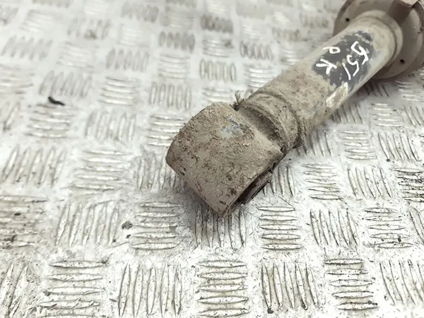 Amortiguador neumático delantero Land Rover Range Rover Sport L320 2006 image 3