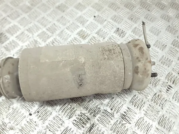 Amortiguador neumático delantero Land Rover Range Rover Sport L320 2006 image 5