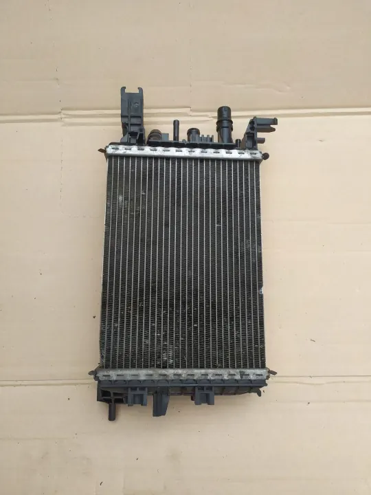 Radiateur d'eau OEM 214106421 pour Duster II Sandero Logan image 2