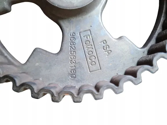 Citroen OE Polia de Correia de Distribuição image 2