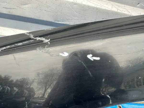 Parafango anteriore sinistro Volvo V70 II S60 image 5