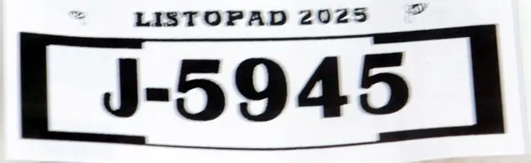 Suporte dianteiro esquerdo Toyota Rav 4 2018 OEM 5320342900 image 4