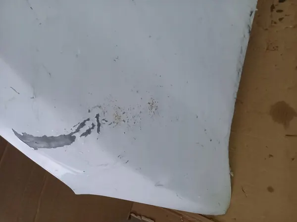 Dacia OE Dokker Lodgy Motorhuv 651007793R image 4