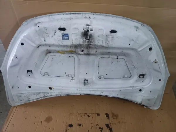 Dacia OE Dokker Lodgy Motorhuv 651007793R image 5